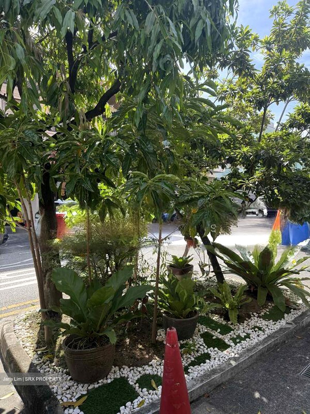 Geylang Road (D14), Terrace #506469361